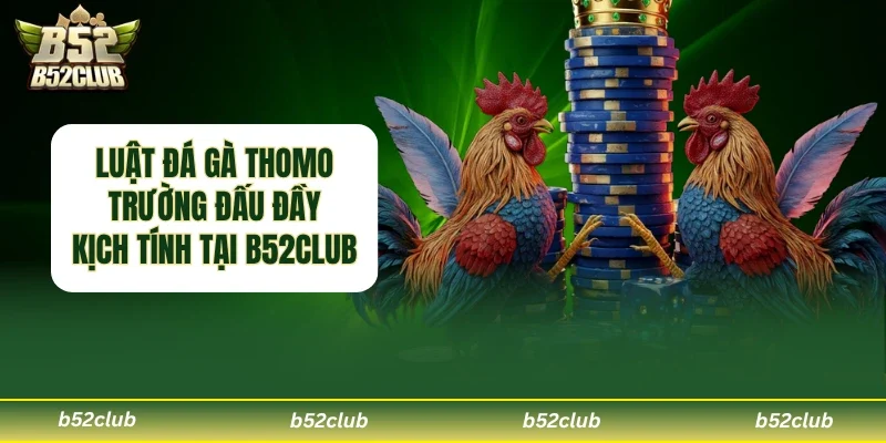 Luật Đá Gà Thomo – Trường Đấu Kịch Tính Hàng Đầu Tại B52club